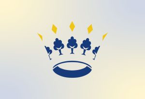 Stand van zaken AED’s